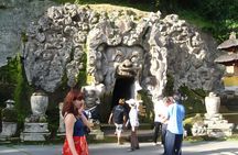 Bali Full-Day Car Charter: All About Ubud Village Trip Experience