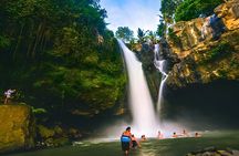 Bali Full-Day Car Charter: Ubud and Kintamani Volcano Trip