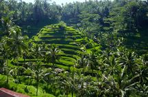 Private Full-Day Tour: Explore The Villages Of Ubud Bali