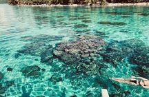 Full-day Lagoon Safari Tour with Lunch in Bora Bora - Shared tour