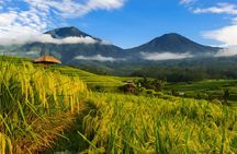 Private Full-Day Tour: Discover The Best of Bali Destination