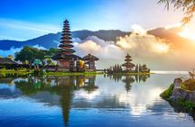 Jatiluwih VW Safari Bali Tour - Volkswagen Classic Car Trip