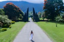 Private Full-Day Tour : North Bali Trip to Discover The Culture of Bali Island
