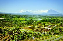 Full-Day Private Bali Car Charter with English Speaking Driver
