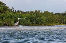 Classic 3-island tour on a shared boat-Entrance Yalahau included-