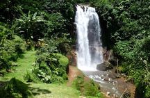 Private Full-Day Car Charter: Beauty of North Bali Tour