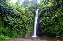 Bali Car-Charter: Amazing North Bali Tour
