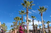 Full Day Tour to Balandra Beach, Todos Santos and La Paz