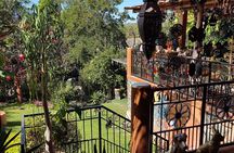 Full Day Tour to Balandra Beach, Todos Santos and La Paz
