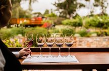 St Hallett Ultimate "Barossa Shiraz" Experience