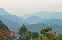 3 Day Guided Gorilla Tracking Safari At Bwindi National Park 