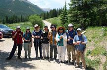 Hiking and Camping in Colorado - 2 day trip