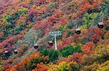 Beijing Great Wall Private Day Tour from Shanghai by Bullet Train