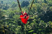 Ubud - All Inclusive Private Day Tour