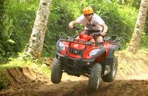 Bali Quad Bike and Swing Packages in Ubud