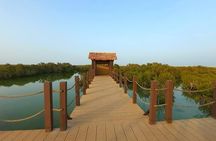 Private Tour in Northern Qatar 