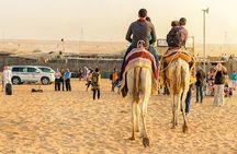 Private Full Day Guided West of Qatar Tour and Desert Safari