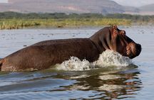 Day tour to Hells Gate, Lake Naivasha and Crescent Island Walk