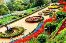 Chandigarh Private Full Day Tour 