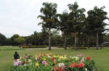 Chandigarh Private Full Day Tour 
