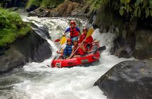 Bali River Rafting and Ubud Full Day Tour Packages
