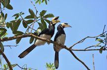 Bangkok to Ayutthaya and Khao Yai National park (4 days)