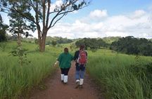 Bangkok to Ayutthaya and Khao Yai National park (4 days)