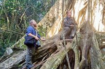 Bangkok to Ayutthaya and Khao Yai National park (4 days)