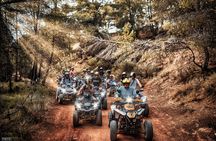 Quad tours Benidorm