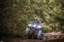 Quad tours Benidorm