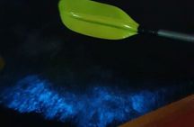 Sunset & Bioluminescent Plankton Kayaking Lan Ha bay 
