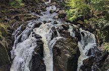 Scone Palace, Nature, Pitlochry, Whisky Experience from Glasgow