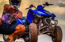 Marrakech: Quad Bike Tour in palm grove 