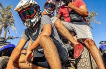 Marrakech: Quad Bike Tour in palm grove 