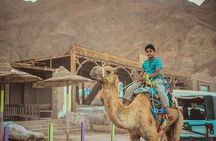 Jeep Safari in Salama Color Canyon & Dahab Tour from Sharm