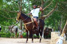 ATV Ziplines, Cenote, Lunch, Horseback Riding and Tequila Tasting