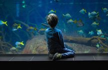 Private Hamad Port Tour in Mesaieed |Aquarium |Maritime Museum