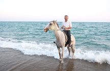 Horseback Riding on the Beach and through the Forest 
