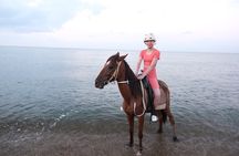Horseback Riding on the Beach and through the Forest 