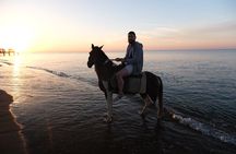 Horseback Riding on the Beach and through the Forest 