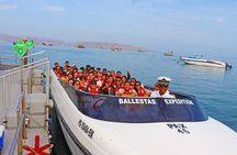 Private Full-Day Paracas Reserve and Ballestas Islands from Lima