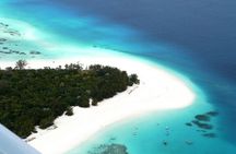 Mnemba Dolphin Tour, Cooking Class, Spice Tour, Horseback Riding
