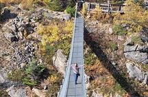 Half Day Suspension Bridge Tour in Skagway and Yukon