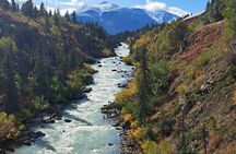 Half Day Suspension Bridge Tour in Skagway and Yukon