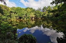 Dominican FLAVOR & COUNTRYSIDE SAFARI Pick-up Included