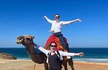 Private Guided Half-Day Tour in Tangier
