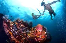Best Snorkeling Activity in Blue Lagoon Beach Bali