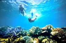 Best Snorkeling Activity in Blue Lagoon Beach Bali