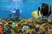 Snorkeling in Blue Lagoon Padang Bai Bali : Snorkel in the clear blue waters