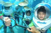 Bali Activity: Bali Sea Walking in Nusa Dua Ocean